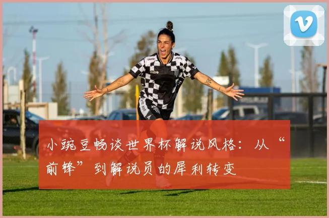 小豌豆畅谈世界杯解说风格：从“前锋”到解说员的犀利转变